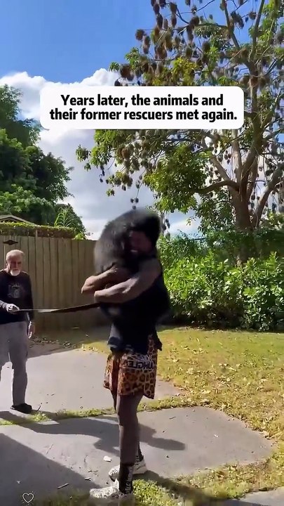 Phillies land All-Star closer Jhoan Duran ahead of MLB trade deadline 👀🔥 #JhoanDuran