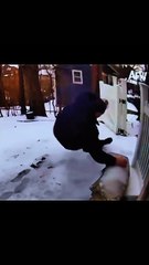 I Can’t Stop Laughing 🤣🔥 You HAVE to See This!”#FunnyShorts