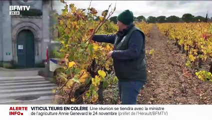 La chaîne BFM TV coupe ses programmes en direct en catastrophe suite à une alerte à la bombe - Les locaux évacués et les démineurs sont sur place avec des chiens renifleurs