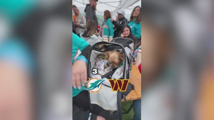 Commanders and Dolphins Fans Take Madrid: 'Cerveza', 'Gracias', and Hilarious Spain Facts