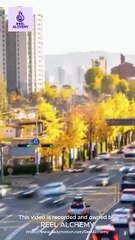 Exiled Fortune [Full]