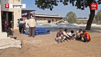 बुरहानपुर में सीसीआई का नया पेंच, खंडवा तक परिवहन शुल्क देने से कपास किसानों का इंकार
