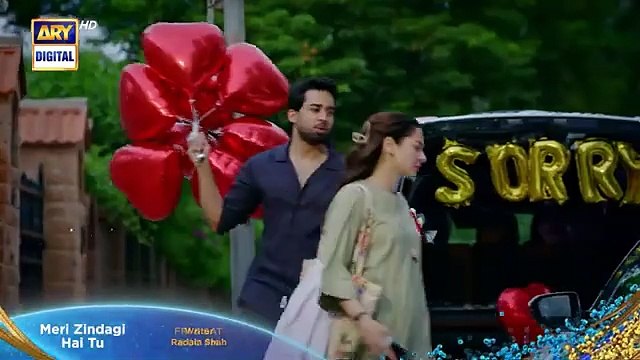 Meri Zindagi Hai Tu Episode 5 Promo Hania Aamir Bilal Abbas Khan ARY Digital - ARY Digital HD (360p, h264)
