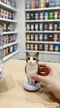 Unbox Meowl Figure Toy #meowl #newsoul #memes #meme #cat #cats #catshorts #toys #toy #plush #plushies