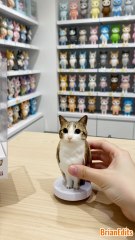 Unbox Meowl Figure Toy #meowl #newsoul #memes #meme #cat #cats #catshorts #toys #toy #plush #plushies