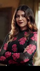 Vampire's Remedy Dramabox Full Movie