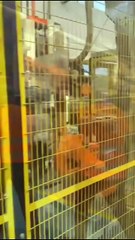 Zaia -  DOPO ZAIA… SCRIVI ZAIA ! Oggi sono a Padova con Leoncino! La città della straordinaria Università, delle scienze, della medicina e dell’arte. Fra Prato della Valle, la Specola, le piazze e tanto altro…. Viva Padova‼️Aiutami a condividere!Musica