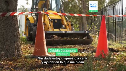 'Greening': El proyecto que acerca a los niños al cuidado del medio ambiente en los coles de Chipre
