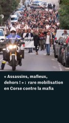 « Assassins, mafieux, dehors » : rare mobilisation en Corse contre la mafia