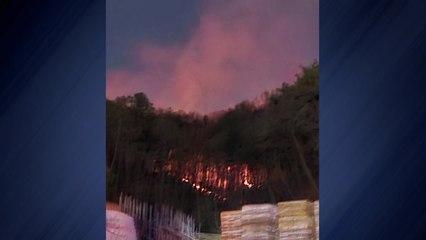 충남 천안 태조산에 불...2시간여 만에 꺼져 / YTN