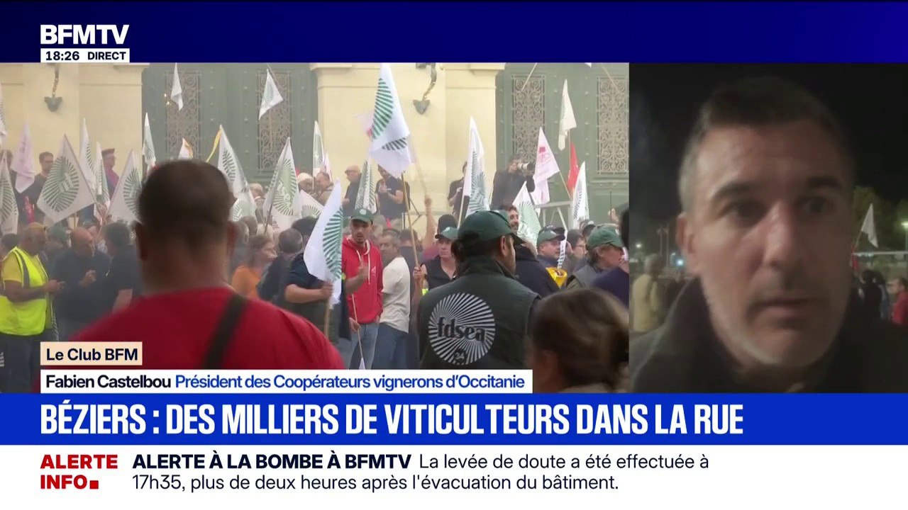 Crise viticole: "On a le droit de vivre de notre métier", déclare Fabien Castelbou, président des Coopérateurs vignerons d'Occitanie