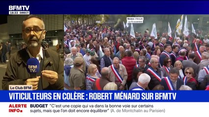Crise viticole: "Il faut entendre la détresse des gens du sud", déclare Robert Ménard, maire (Divers Droite) de Béziers