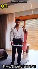 The Secret Between US - Reunited With My Ex Reelshort