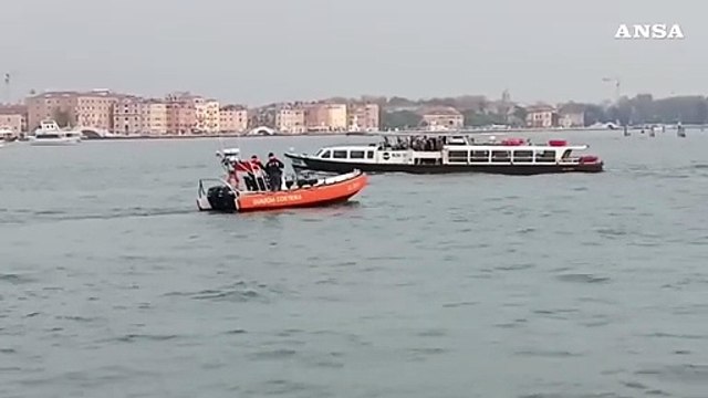 Il delfino di Venezia allontanato dal bacino di San Marco