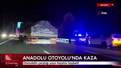 Anadolu Otoyolu’nda feci kaza