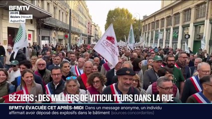 Béziers: des milliers de viticulteurs se sont réunis dans les rues, alors que le secteur est en grande difficulté