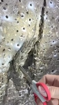 Scientists exploring a cave in Albania discover thousands of arachnids in world’s largest-known spiderweb