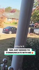 She thinks she owns the entire street 😡