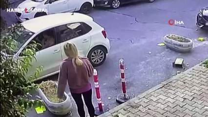 Bakırköy'de ilginç olay: Kedisinin tıraşını beğenmeyen kadın veterinere saldırdı