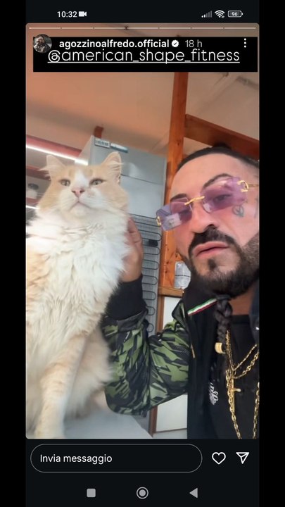 agozzino Alfredo e i suoi gatti