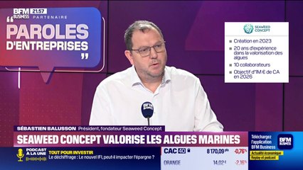 Sébastien Balusson (Seaweed Concept) : Seaweed Concept valorise les algues marines - 15/11