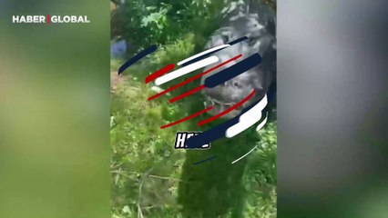 Kedi sever gibi timsah seven kadın şoke etti!