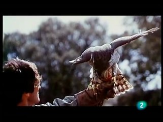 Félix Rodríguez De La Fuente: El Legado Ecológico Que Transformó España