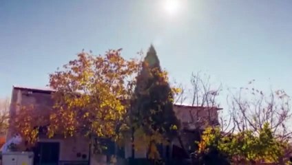 Corazón Negro Capitulo 39