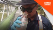 LUAS kesan bau abnormal di LRA Rantau Panjang
