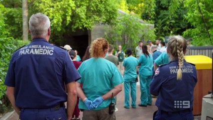 taronga whos who in the zoo s06e01