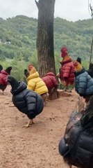 #funny video #shortvideo #viralvideo #funnyadda#