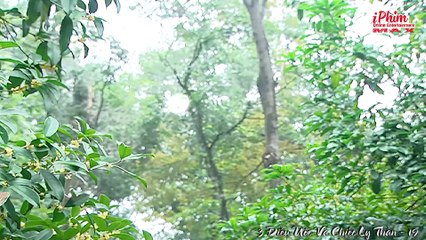 3 Điều Ước Và Chiếc Ly Thần – Tập 19 - Phim Cổ Trang Tiên Hiệp Hấp Dẫn - Thuyết Minh