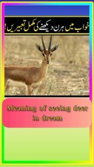 khwab main hiran dekhne ki tabeer.khwab main hiran dekhne ki tabeer #viralshort #emtionalstory #shortstory