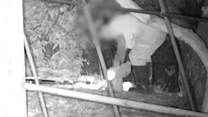 경기 파주서 사흘 연달아 농산물 훔친 60대 검거 / YTN