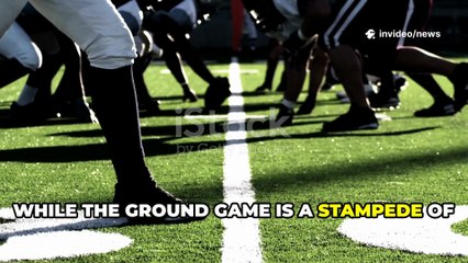 Georgia Bulldogs Football Highlights & Latest News 2025