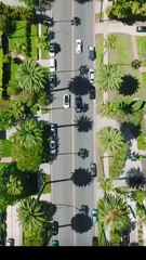 The Vampire Count's Modern Lover Full Movie