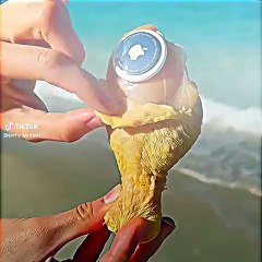 #foryoupage #viral #unfrezzmyaccount #dailyfacts #factsdaily