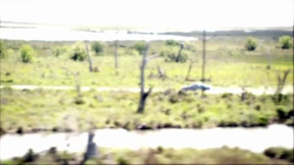 True Detective Series Review An Anthology of Darkness