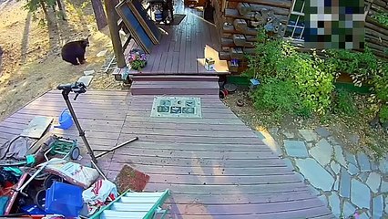 Caught in 4K! Funniest Security Camera Moments & Hilarious Fails Compilation