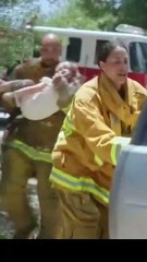 El Arrepentimiento es el Castigo en Español