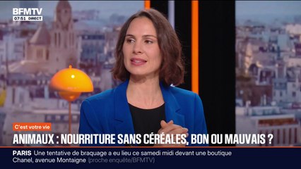 Intox, coup marketing... Les conseils pour bien choisir la nourriture de vos animaux de compagnie