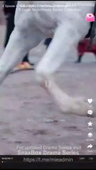 Reborn in Glory The Princess's Revenge Chinese Drama - English Sub