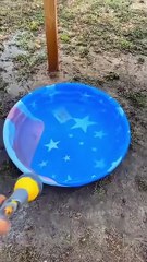 CEO’s Equal Full Episodes Shortdrama