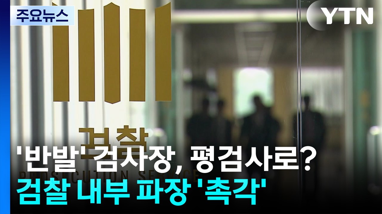 '항소 포기 집단 반발' 검사장, 평검사로?...내부 반발 '촉각' / YTN