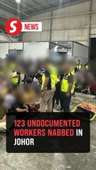 Immigration detains 123 foreigners in Senai factory raid