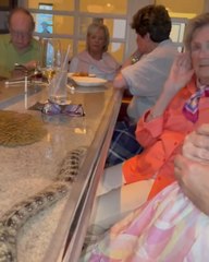 Sssssurprise Dinner Guest! 🐍 Elderly Ladies Find a Snake on Their Restaurant Bar