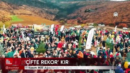 11 Kasım Milli Ağaçlandırma Günü'nde 'çifte rekor' kırıldı