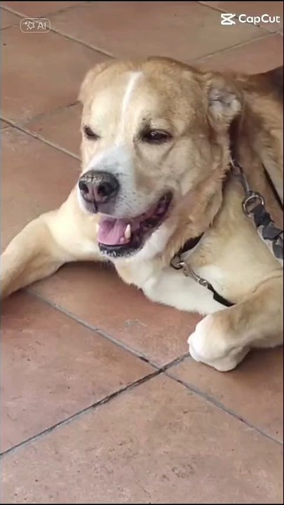 Tu aurais eu 13 ans aujourd'hui ❤️😭