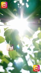 ⚽ Mi Vecino El Capitan Completa | ReelShort