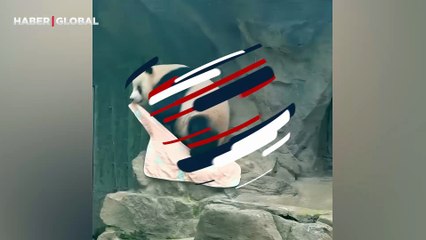 Havlu ile kendini kurulayan pandanın görüntüleri izlenme rekoru kırdı